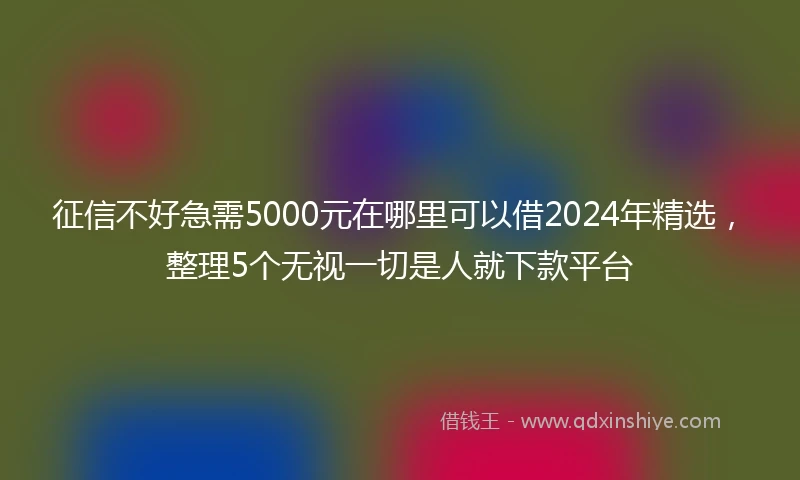 征信不好急需5000元在哪里可以借2024年精选，整理5个无视一切是人就下款平台