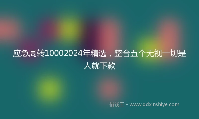 应急周转10002024年精选，整合五个无视一切是人就下款