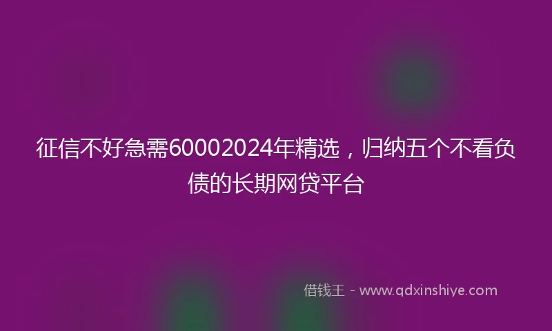 征信不好急需60002024年精选，归纳五个不看负债的长期网贷平台