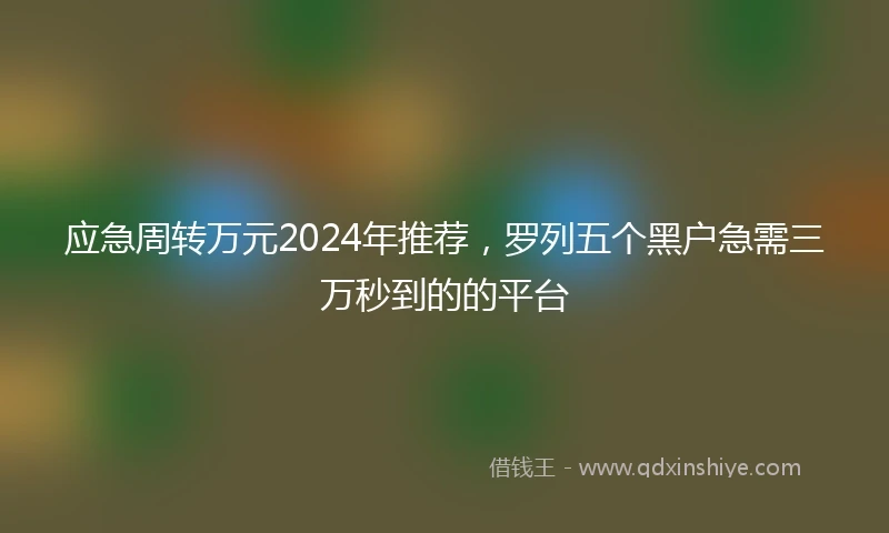 应急周转万元2024年推荐，罗列五个黑户急需三万秒到的的平台