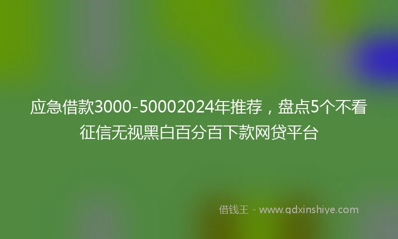 应急借款3000-50002024年推荐，盘点5个不看征信无视黑白百分百下款网贷平台
