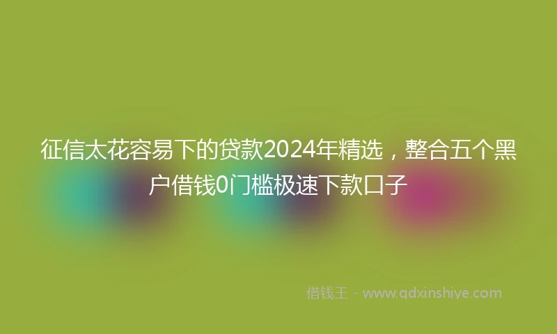 征信太花容易下的贷款2024年精选，整合五个黑户借钱0门槛极速下款口子