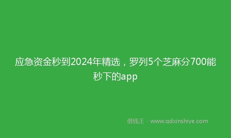 应急资金秒到2024年精选，罗列5个芝麻分700能秒下的app