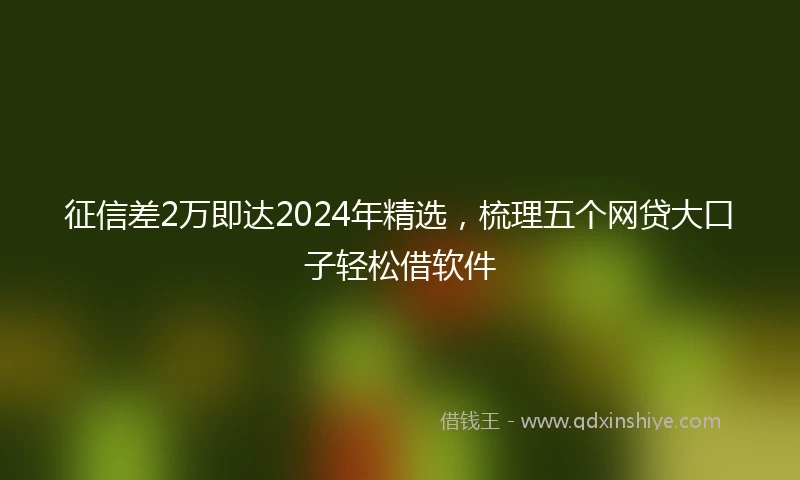 征信差2万即达2024年精选，梳理五个网贷大口子轻松借软件