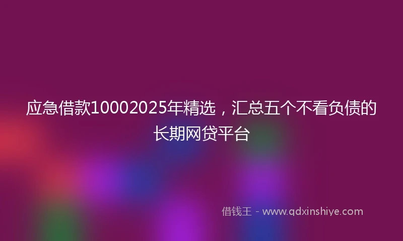 应急借款10002025年精选，汇总五个不看负债的长期网贷平台