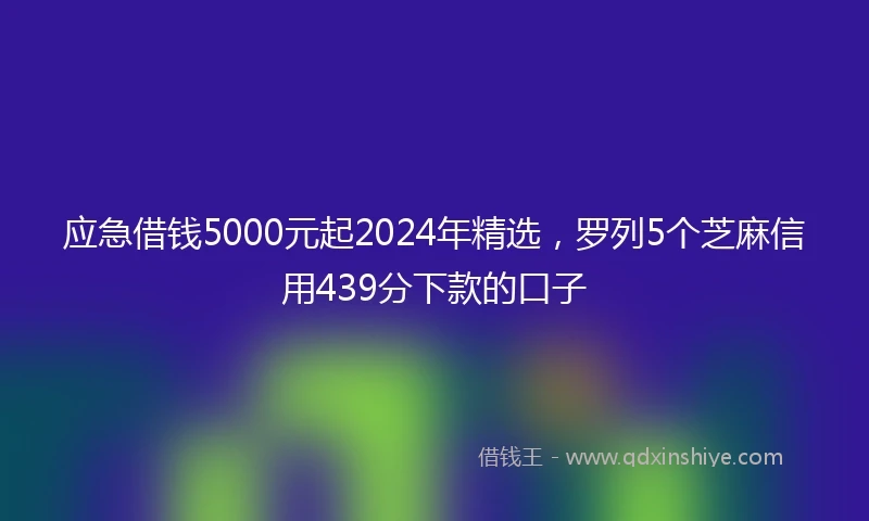应急借钱5000元起2024年精选，罗列5个芝麻信用439分下款的口子