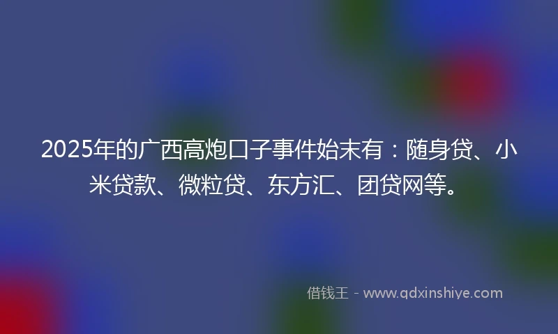 2025年的广西高炮口子事件始末有：随身贷、小米贷款、微粒贷、东方汇、团贷网等。