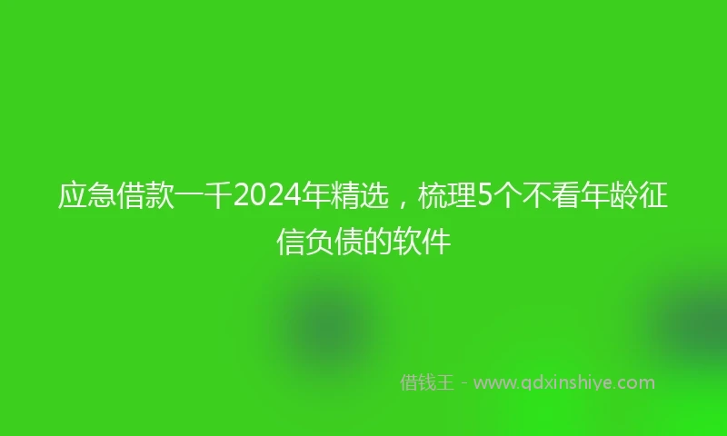 应急借款一千2024年精选，梳理5个不看年龄征信负债的软件