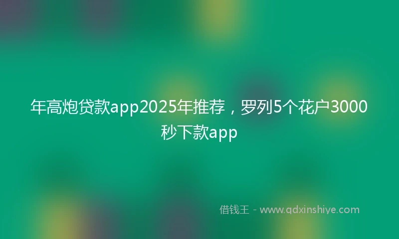 年高炮贷款app2025年推荐，罗列5个花户3000秒下款app