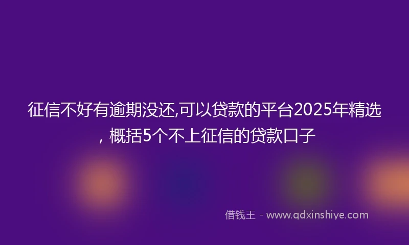 征信不好有逾期没还,可以贷款的平台2025年精选，概括5个不上征信的贷款口子