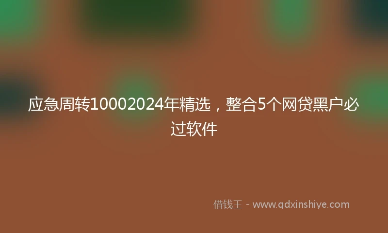 应急周转10002024年精选，整合5个网贷黑户必过软件