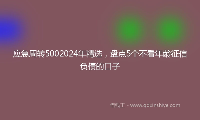 应急周转5002024年精选，盘点5个不看年龄征信负债的口子