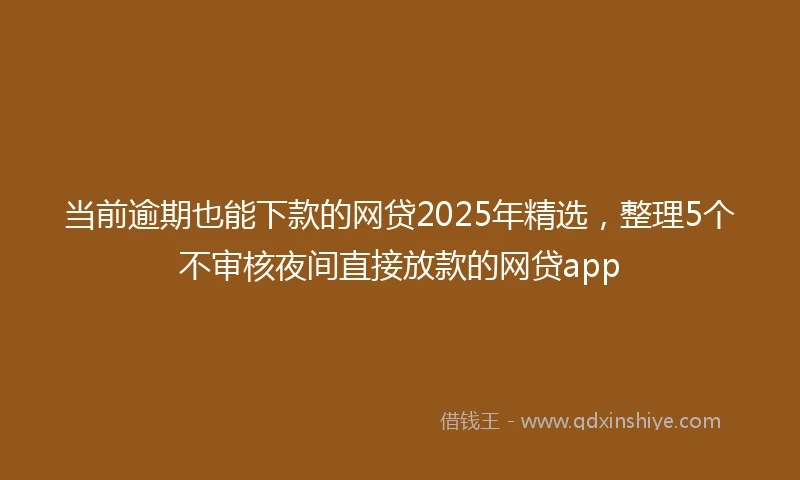 当前逾期也能下款的网贷2025年精选，整理5个不审核夜间直接放款的网贷app