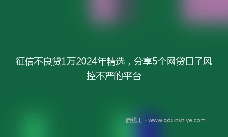 征信不良贷1万2024年精选，分享5个网贷口子风控不严的平台