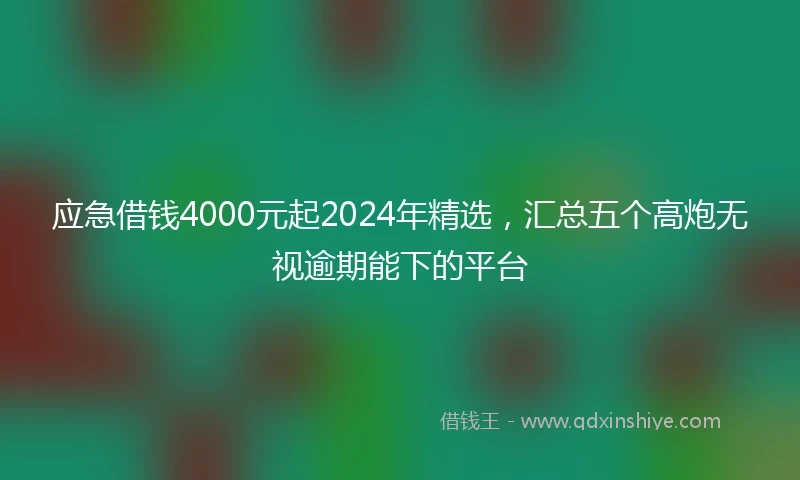 应急借钱4000元起2024年精选，汇总五个高炮无视逾期能下的平台