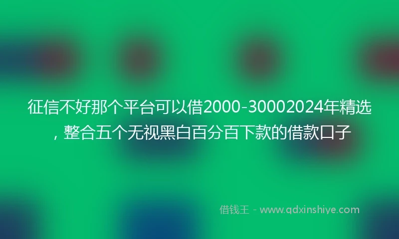 征信不好那个平台可以借2000-30002024年精选，整合五个无视黑白百分百下款的借款口子