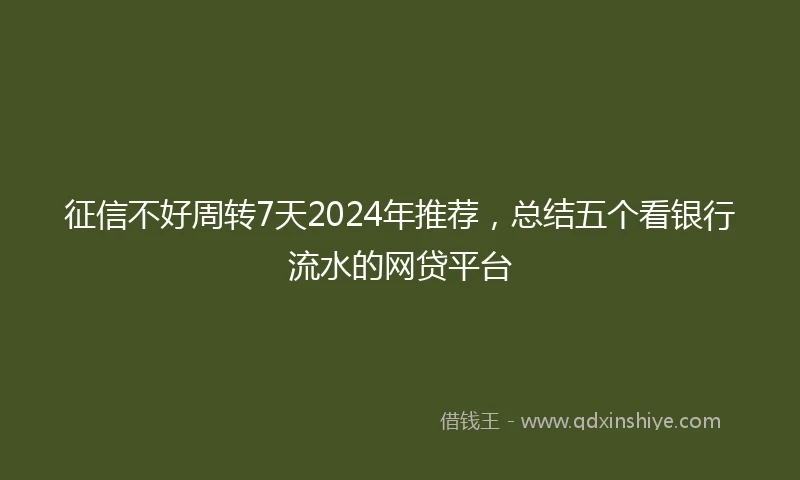 征信不好周转7天2024年推荐，总结五个看银行流水的网贷平台
