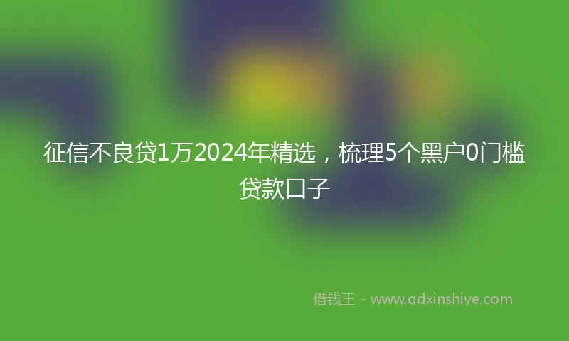 征信不良贷1万2024年精选，梳理5个黑户0门槛贷款口子