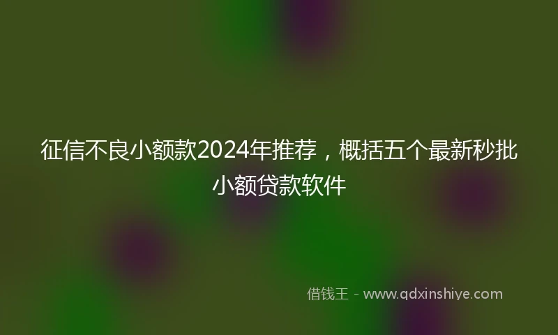 征信不良小额款2024年推荐，概括五个最新秒批小额贷款软件