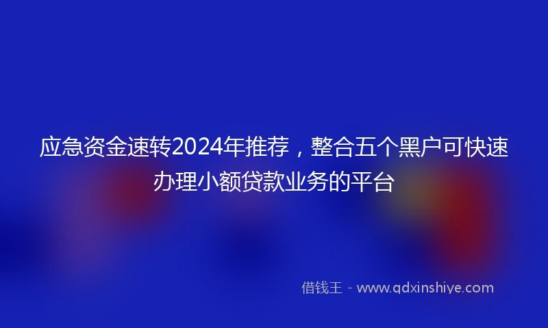 应急资金速转2024年推荐，整合五个黑户可快速办理小额贷款业务的平台