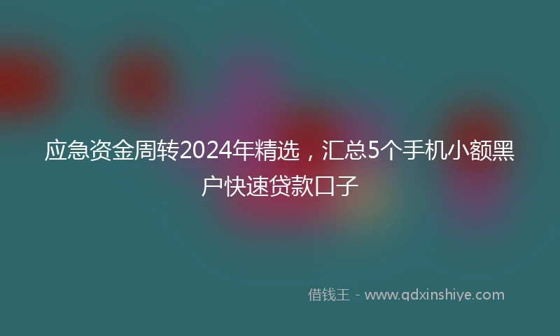 应急资金周转2024年精选，汇总5个手机小额黑户快速贷款口子