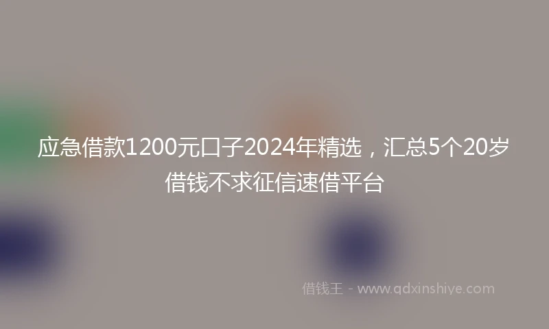 应急借款1200元口子2024年精选，汇总5个20岁借钱不求征信速借平台