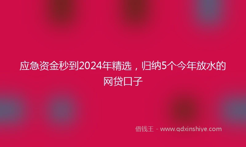 应急资金秒到2024年精选，归纳5个今年放水的网贷口子