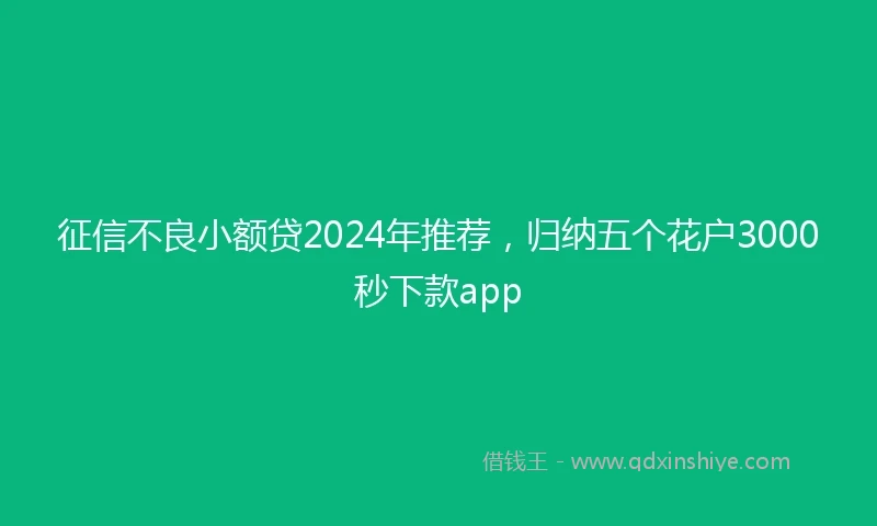 征信不良小额贷2024年推荐，归纳五个花户3000秒下款app