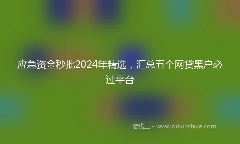 应急资金秒批2024年精选，汇总五个网贷黑户必过平台