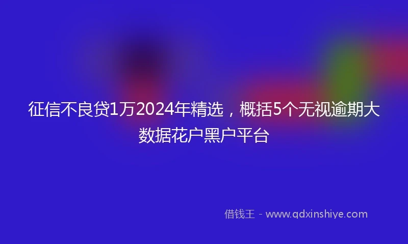 征信不良贷1万2024年精选，概括5个无视逾期大数据花户黑户平台