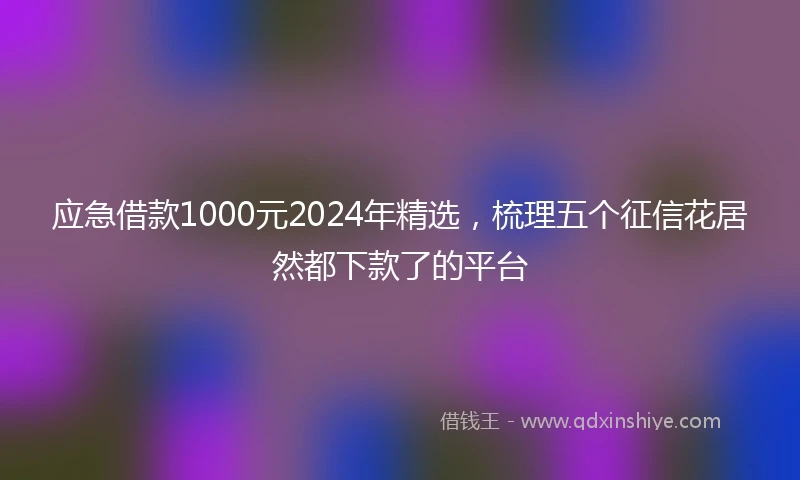 应急借款1000元2024年精选，梳理五个征信花居然都下款了的平台