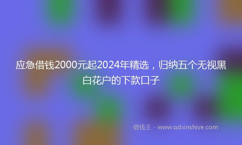应急借钱2000元起2024年精选，归纳五个无视黑白花户的下款口子
