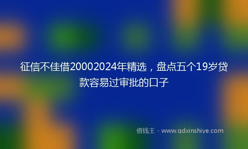征信不佳借20002024年精选，盘点五个19岁贷款容易过审批的口子