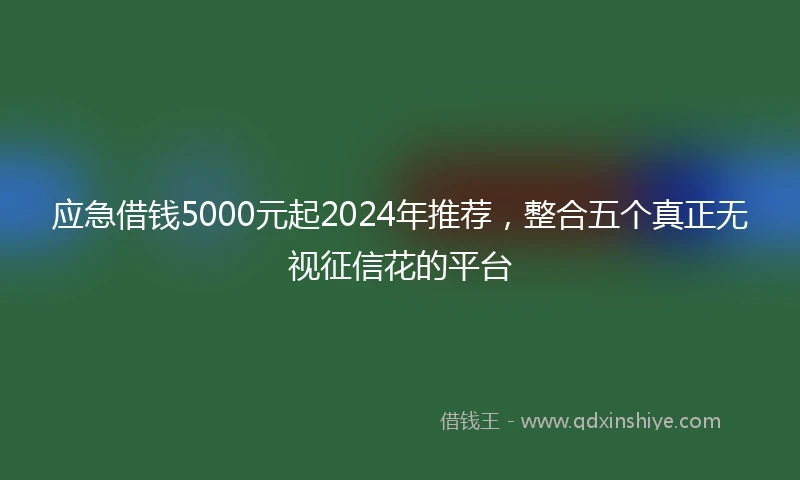 应急借钱5000元起2024年推荐，整合五个真正无视征信花的平台