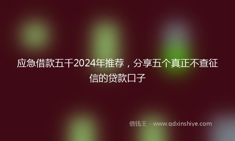 应急借款五千2024年推荐，分享五个真正不查征信的贷款口子