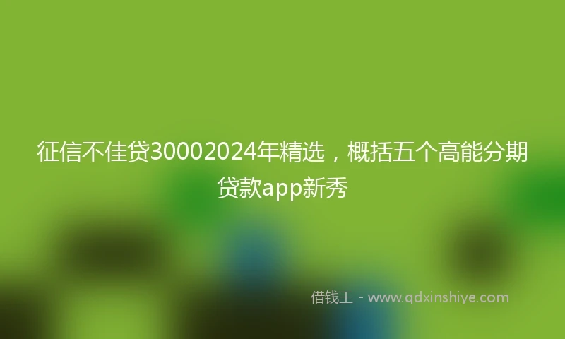 征信不佳贷30002024年精选，概括五个高能分期贷款app新秀