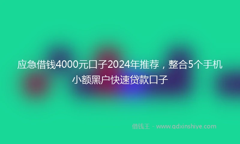 应急借钱4000元口子2024年推荐，整合5个手机小额黑户快速贷款口子