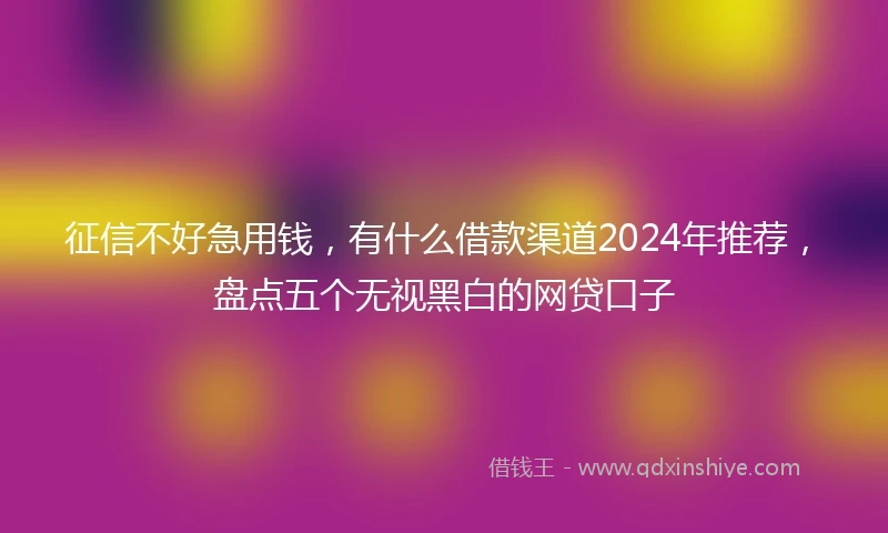 征信不好急用钱，有什么借款渠道2024年推荐，盘点五个无视黑白的网贷口子