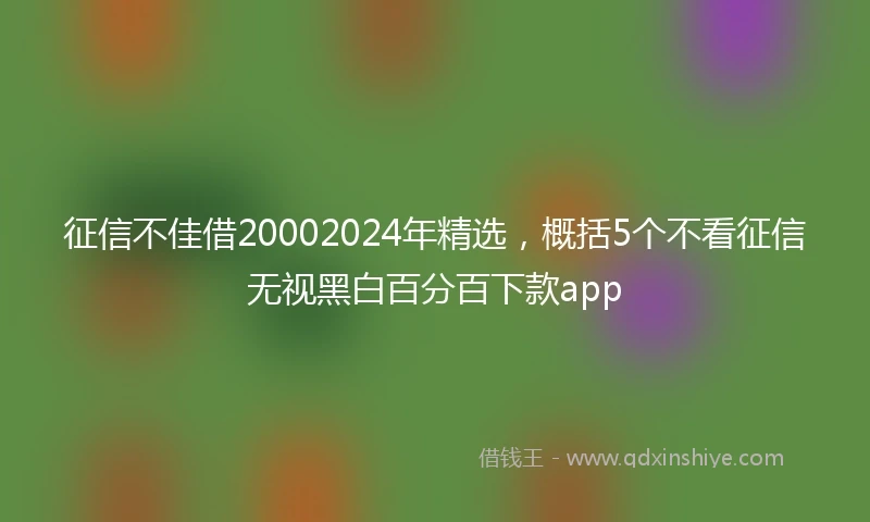 征信不佳借20002024年精选，概括5个不看征信无视黑白百分百下款app