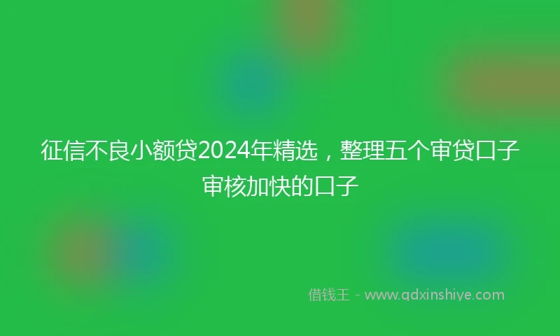 征信不良小额贷2024年精选，整理五个审贷口子审核加快的口子