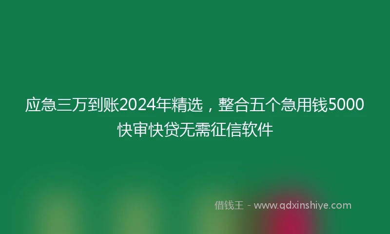 应急三万到账2024年精选，整合五个急用钱5000快审快贷无需征信软件