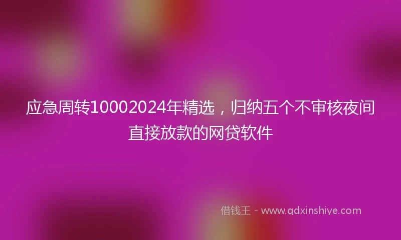 应急周转10002024年精选，归纳五个不审核夜间直接放款的网贷软件