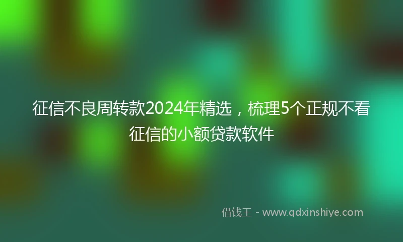 征信不良周转款2024年精选，梳理5个正规不看征信的小额贷款软件