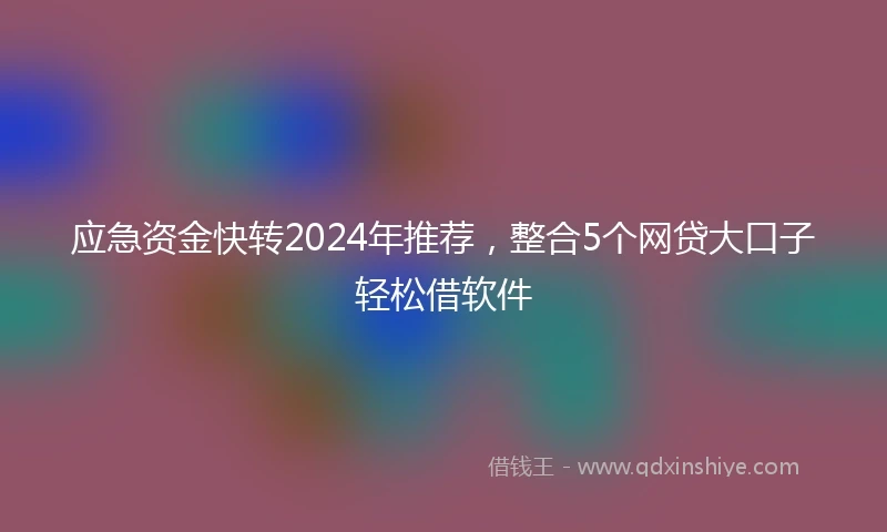 应急资金快转2024年推荐，整合5个网贷大口子轻松借软件