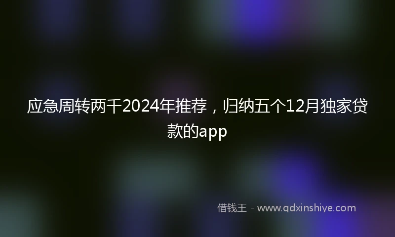 应急周转两千2024年推荐，归纳五个12月独家贷款的app