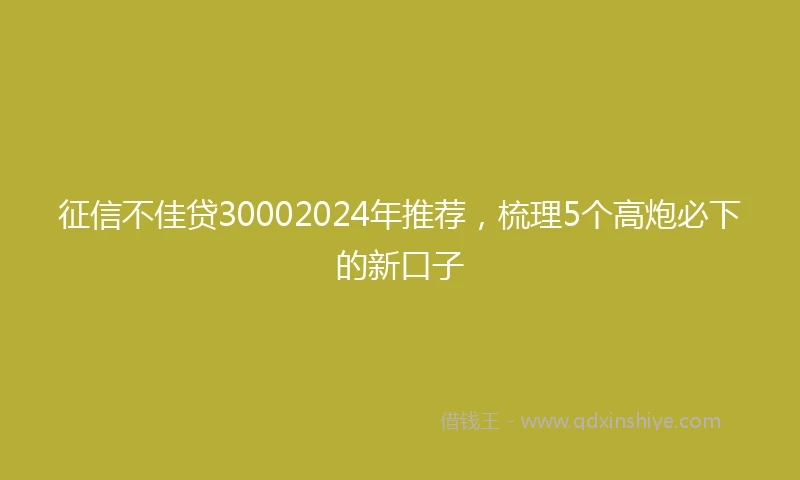 征信不佳贷30002024年推荐，梳理5个高炮必下的新口子