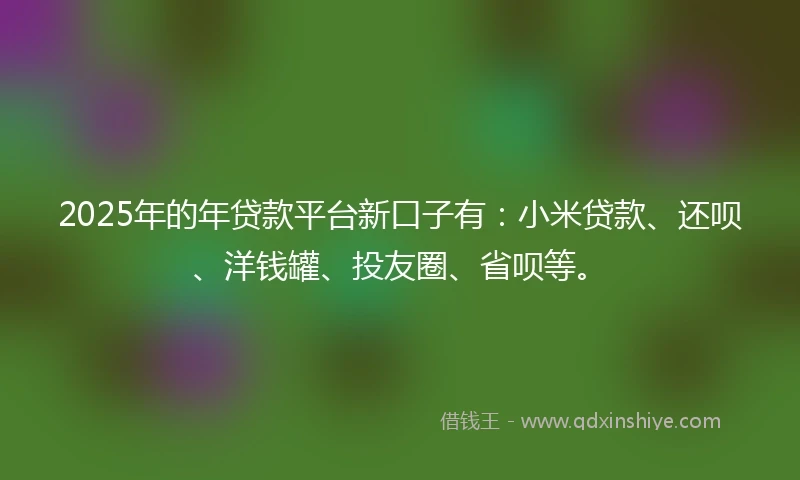 2025年的年贷款平台新口子有：小米贷款、还呗、洋钱罐、投友圈、省呗等。