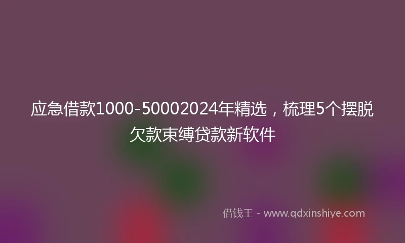 应急借款1000-50002024年精选，梳理5个摆脱欠款束缚贷款新软件