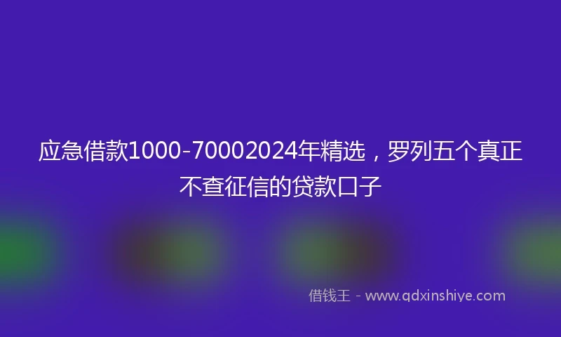 应急借款1000-70002024年精选，罗列五个真正不查征信的贷款口子