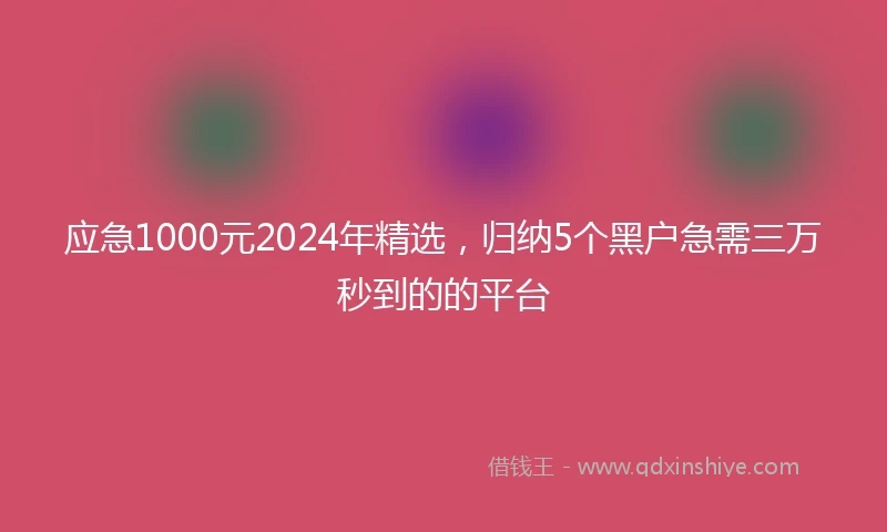 应急1000元2024年精选，归纳5个黑户急需三万秒到的的平台